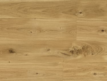 European Oak